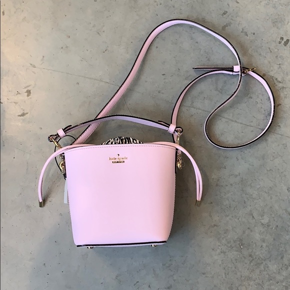 cameron street pippa